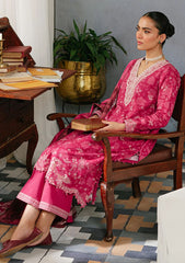 Winter Collection - Cross Stitch - Khaddar/Linen 23 - Fiery Blush 10