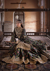 Formal Collection - MNR - Zarlish 23 - Koyal - D#04