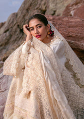 Lawn Collection - Mohsin Naveed Ranjha - Festive 24 - MFL#14 - Dariya