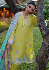 Lawn Collection - Farah Talib Aziz - Suay - Luxury Unstitched '24 - Kelaya Kiwi - FTA#09