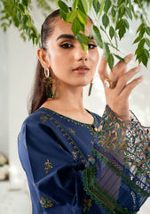 Lawn Collection - Bin ILyas - Riwaayat Spring Summer - RSP24#302 - A