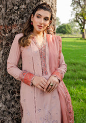 Winter Collection - Zoya N Fatima - Koyal - kaia - D#01