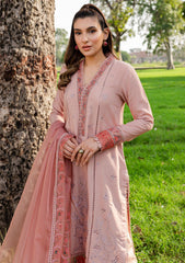 Winter Collection - Zoya N Fatima - Koyal - kaia - D#01