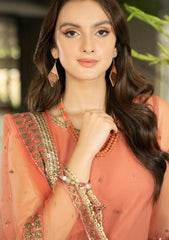 Formal Collection - Noorma kaamal - Festive - NKJB#05