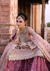 Formal Collection - MNR - Zarlish 23 -Aarzoo - D#01