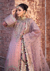 Formal Collection - MNR - Zarlish 23 -Aarzoo - D#01