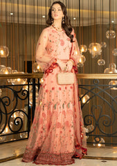 Formal Collection - Noorma kaamal - Festive - NKJB#03