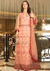 Formal Collection - Noorma kaamal - Festive - NKJB#03