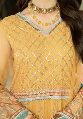 Formal Collection - Noorma kaamal - Festive - NKJB#01