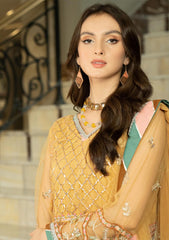 Formal Collection - Noorma kaamal - Festive - NKJB#01