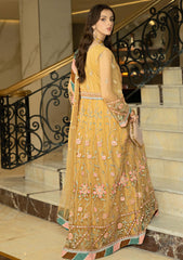 Formal Collection - Noorma kaamal - Festive - NKJB#01