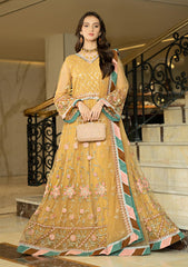 Formal Collection - Noorma kaamal - Festive - NKJB#01