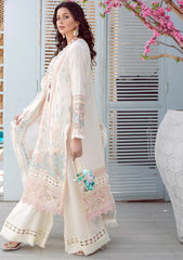 Lawn Collection - Asimah.K - Inaayat - Festive - JASMINE - D#05