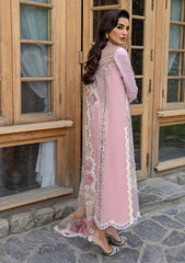 Lawn Collection - Crimson - Lawn 24 - CL24#7B