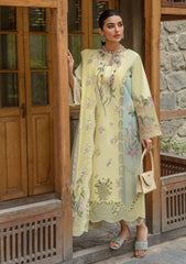 Lawn Collection - Crimson - Lawn 24 - CL24#6B