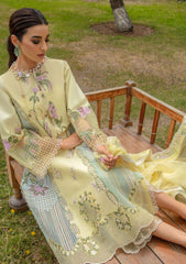 Lawn Collection - Crimson - Lawn 24 - CL24#6B