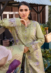 Lawn Collection - Rang Rasiya - Premium Eid - RE24#08 - AYSEL