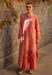 Winter Collection - Rang Rasiya - Dekh Magar Pyar Se - ZUFASH