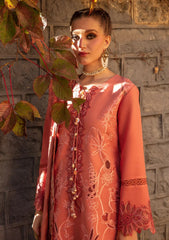 Winter Collection - Rang Rasiya - Dekh Magar Pyar Se - ZUFASH