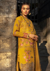 Winter Collection - Rang Rasiya - Dekh Magar Pyar Se - SHAHAY