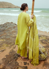 Winter Collection - Cross Stitch - Cotton Satin - D#5 - OLIVE TWINE