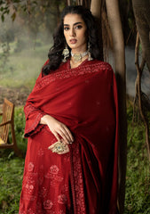 Winter Collection - Lakhany - Emb Winter Shawl - D#05