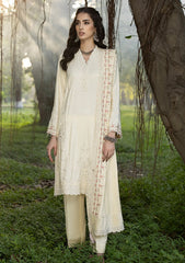 Winter Collection - Lakhany - Emb Winter Shawl - D#0046