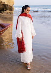 Lawn Collection - Zainab Chottani - Chikankari 24 - ZCC#3A - Chunari