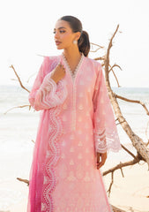 Lawn Collection - Zainab Chottani - Chikankari 24 - ZCC#8B - Amyra