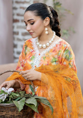 Lawn Collection - Noorma Kaamal - Chikankari 24 - NKC24#09