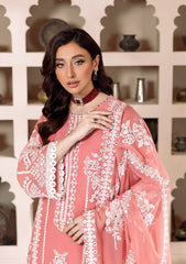 Formal Collection - Alizeh - Dua - Mehrunisa - D#04(B)