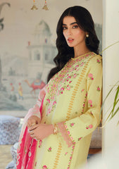 Lawn Collection - Raj Bari - Essentials - RBE24#01