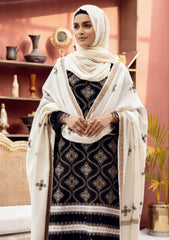 Winter Collection - Riaz Arts - DastKari - D#01