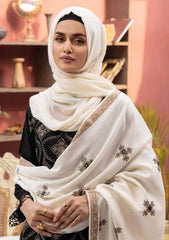 Winter Collection - Riaz Arts - DastKari - D#01