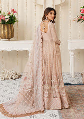 Formal Collection - Zarqash - Rubaai Wedding - AYLA