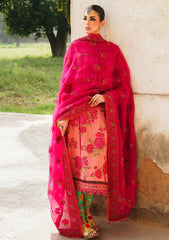 Winter Collection - Hussain Rehar - Karandi AW - D#01 - Tulip