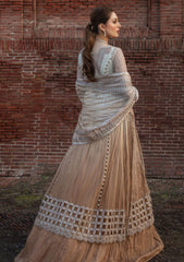 Formal Collection - Rang Rasiya - Shehnaiyan - Wedding - D#1 - Roshni