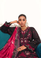 Winter Collection - Marjjan - Afsanah - D#01-B