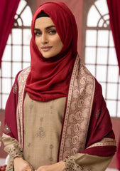 Winter Collection - Riaz Arts - DastKari - D#10