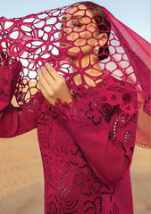 Lawn Collection - Rang Rasiya - Premium - RSP24#10 - Rameen