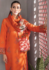 Winter Collection - Rang Rasiya - Florence - Linen shawl - DN#10