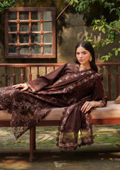 Winter - Asifa & Nabeel - Pashmina Luxe 25 - LWC#10 - Aima