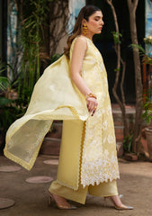Lawn - Mahnur - Satrangi 26 - ST#11