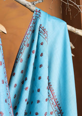 Pashmina Kashmiri Jaaldar Shawl D#116 - Ferozi