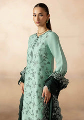 Winter - Raj Bari - Sareen 25 - Premium Viscose - D#11