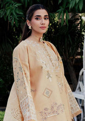 Winter - Florent - Zync 25 - FL#08-B