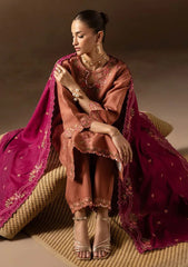 Winter - Raj Bari - Sareen 25 - Premium Viscose - D#12