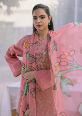 Lawn - Rubaaiyat - Muse Era - Luxury Lawn 25 - RM#15
