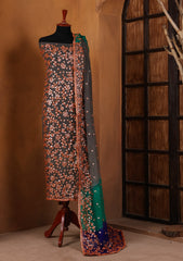 Formals - Bahawalpur Pehnawa - Chiffon - 2 Piece - D#10