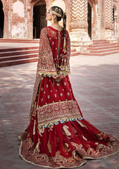Formal Collection - MNR - Zarlish 23 - Biya Begum - D#03